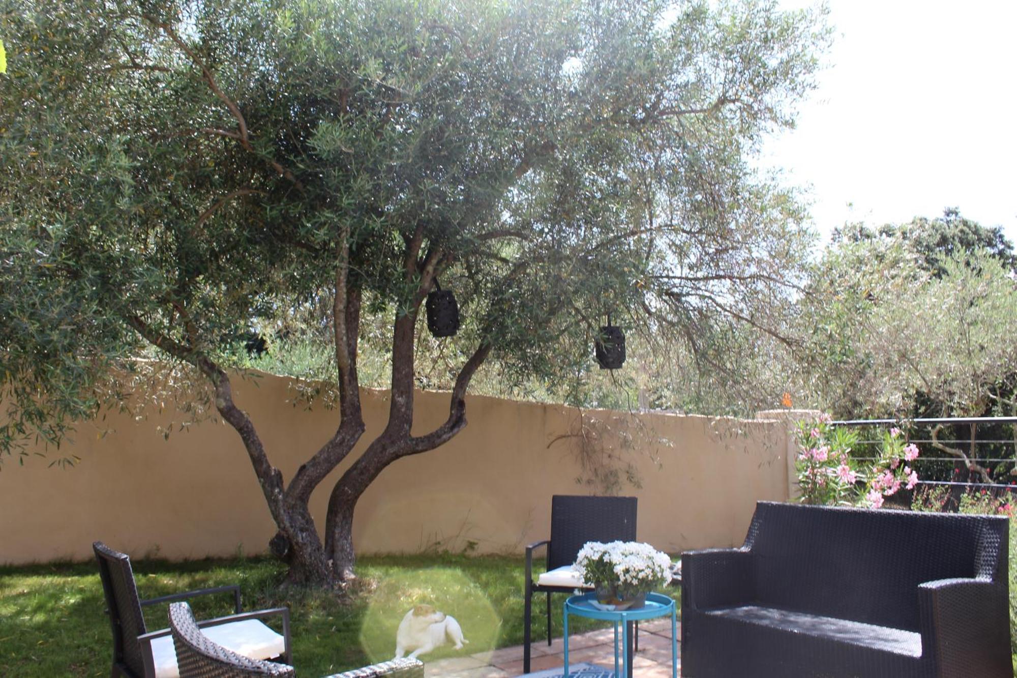 Villa Pierre Blanche Le Calme A 5Mn Du Centre Ville Nîmes Exteriér fotografie